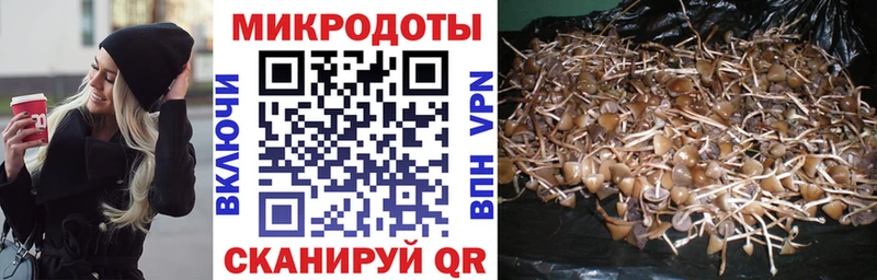 Галлюциногенные грибы Psilocybine cubensis  где купить   Малаховка 
